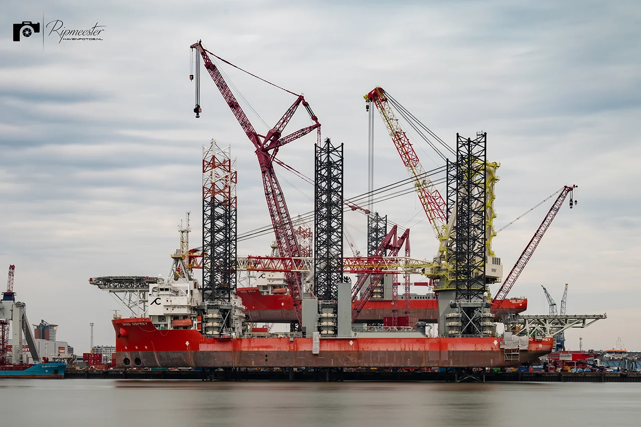 wind osprey resultaat